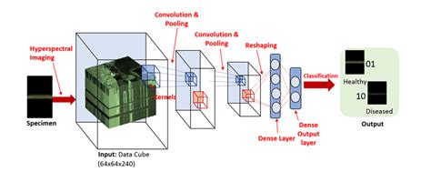 du transe|3d convolutional network learning.